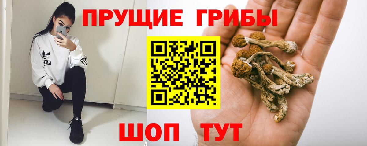 магазин    Галлюциногенные грибы прущие грибы  Вход с VPN  Галлюциногенные грибы Cubensis  Кемерово 